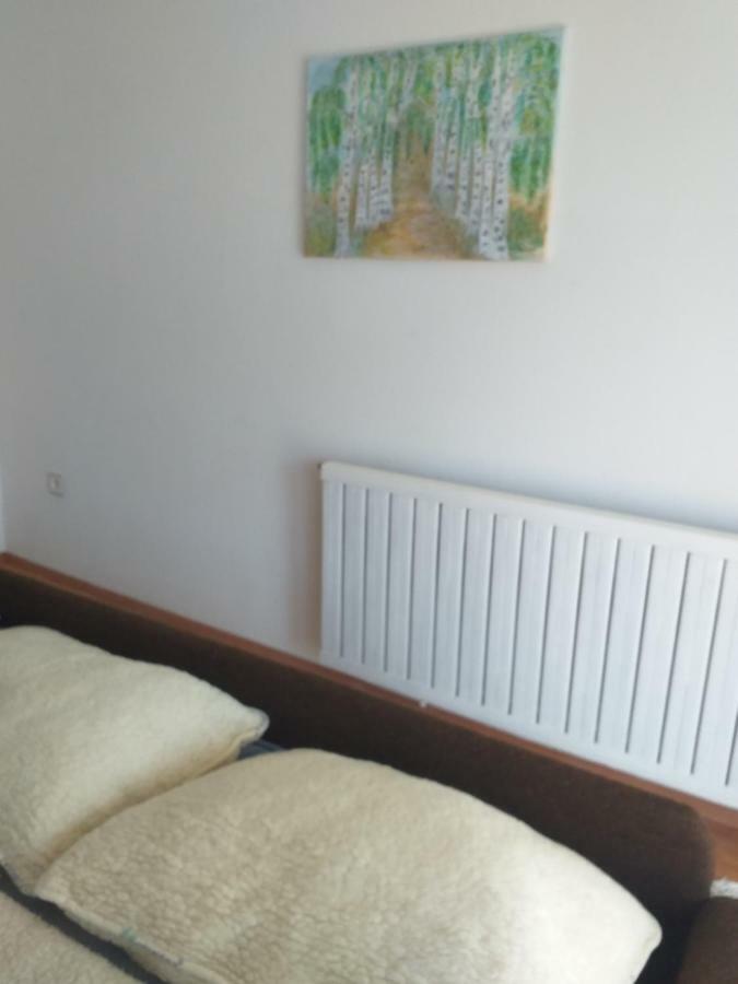 Apartment Primceva Μαριμπόρ Εξωτερικό φωτογραφία